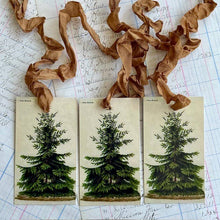 Load image into Gallery viewer, Beautiful Gift Tags, Hang Tags - Pine Tree pkg/3

