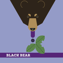 Load image into Gallery viewer, Charley Harper’s Animals Memory Game
