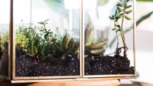 Load image into Gallery viewer, Urban Born Oversize Terrarium Glass+Steel, 11x11x28&quot; (Brass)

