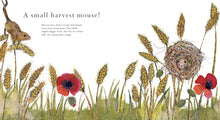 Load image into Gallery viewer, Who Lives Here? by Alexandra Milton
