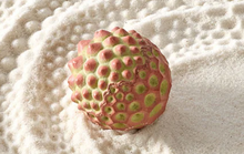 Load image into Gallery viewer, Olander Earthworks Tiny Sphere Spikes
