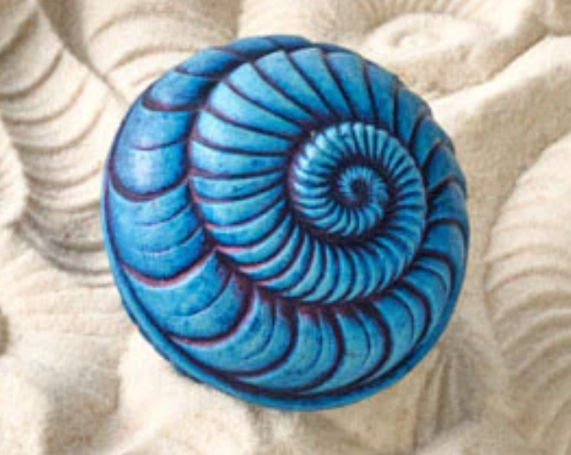 Olander Earthworks Sphere Ammonite