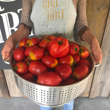 Load image into Gallery viewer, Tomato Jam
