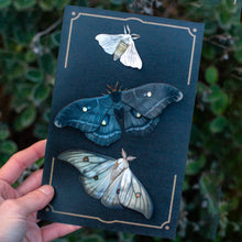 Load image into Gallery viewer, 'Midnight Ghost' Moth Set
