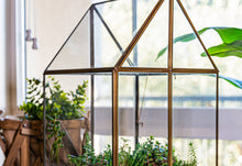 Load image into Gallery viewer, Urban Born Oversize Terrarium Glass+Steel, 11x11x28&quot; (Brass)
