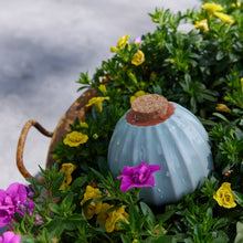 Load image into Gallery viewer, Terracotta Watering Bulb: Sage
