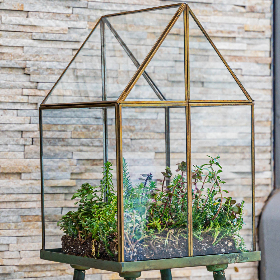 Urban Born Oversize Terrarium Glass+Steel, 11x11x28