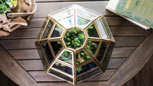 Load image into Gallery viewer, Urban Born Large Terrarium Birdcage, Glass and Metal, 10x9&quot;: Brass
