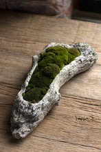 Load image into Gallery viewer, Faux Bois Cement Log Planter - XLarge
