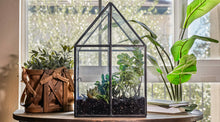 Load image into Gallery viewer, Urban Born Oversize Terrarium Glass+Steel, 11x11x28&quot; (Black)
