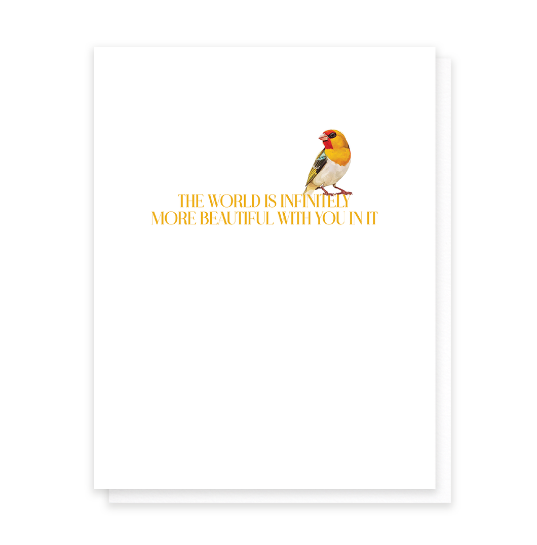 Infinitely More Beautiful