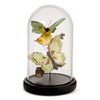 Flora and Fauna Butterfly and Bird Sculpture in Round Dome