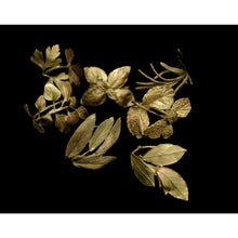 Load image into Gallery viewer, Michael Michaud - Herb Napkin Rings (Gold) Set of 8
