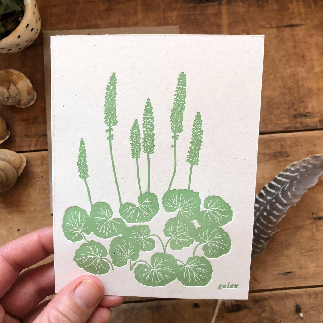 Galax Forest Wildflower Card