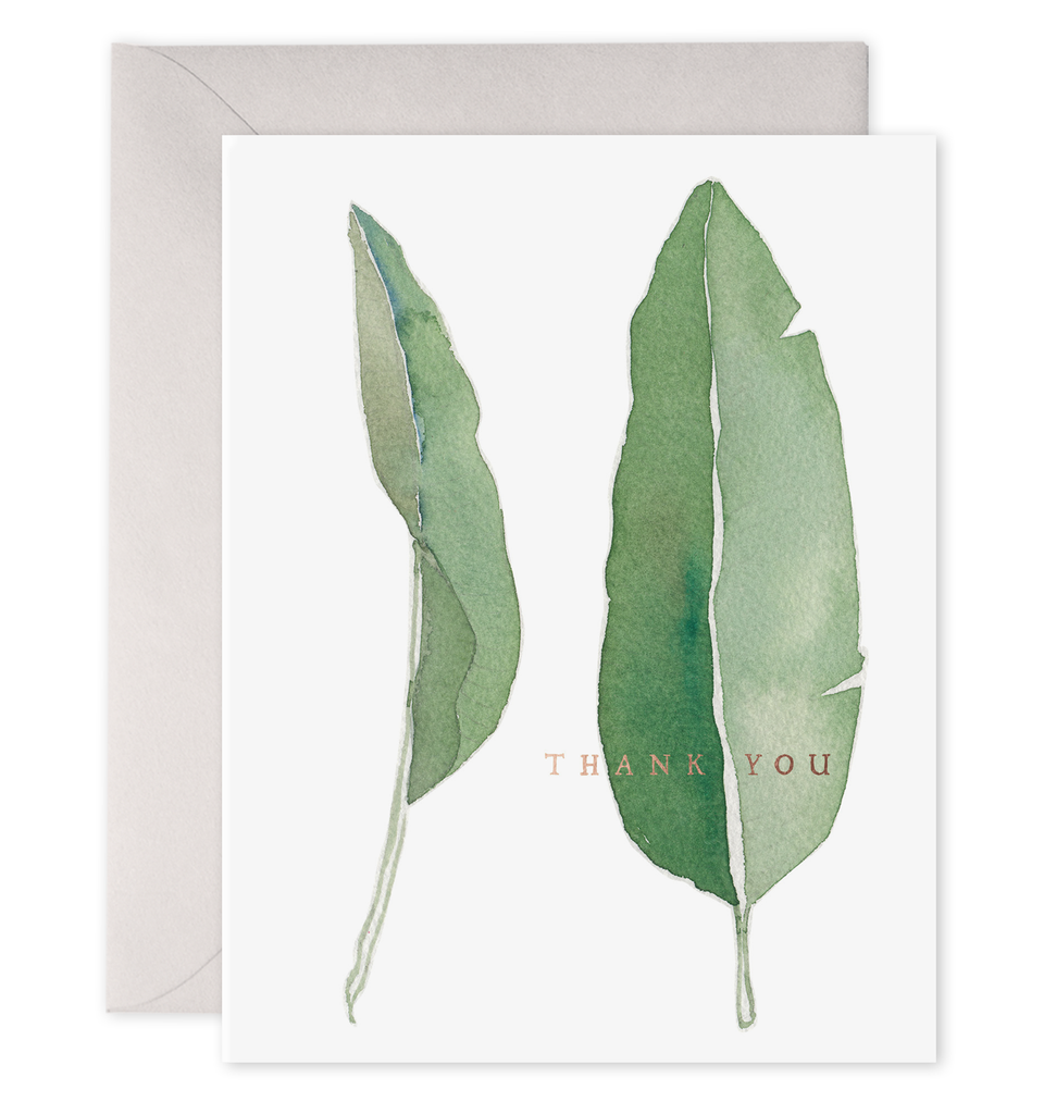 Thank You Leaves Greeting Card (Boxed Set of 6): 4.25 X 5.5 INCHES