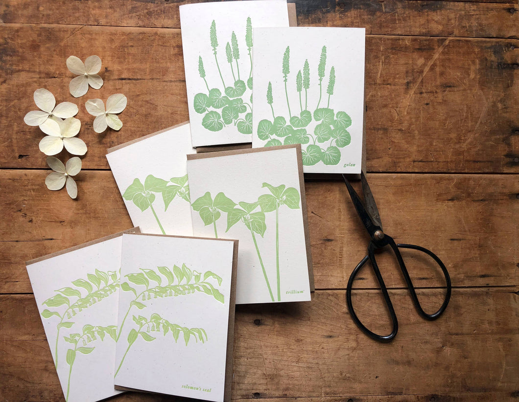 Forest Wildflower Card Set - 6 letterpress cards