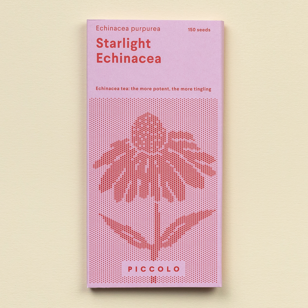 Echinacea Starlight