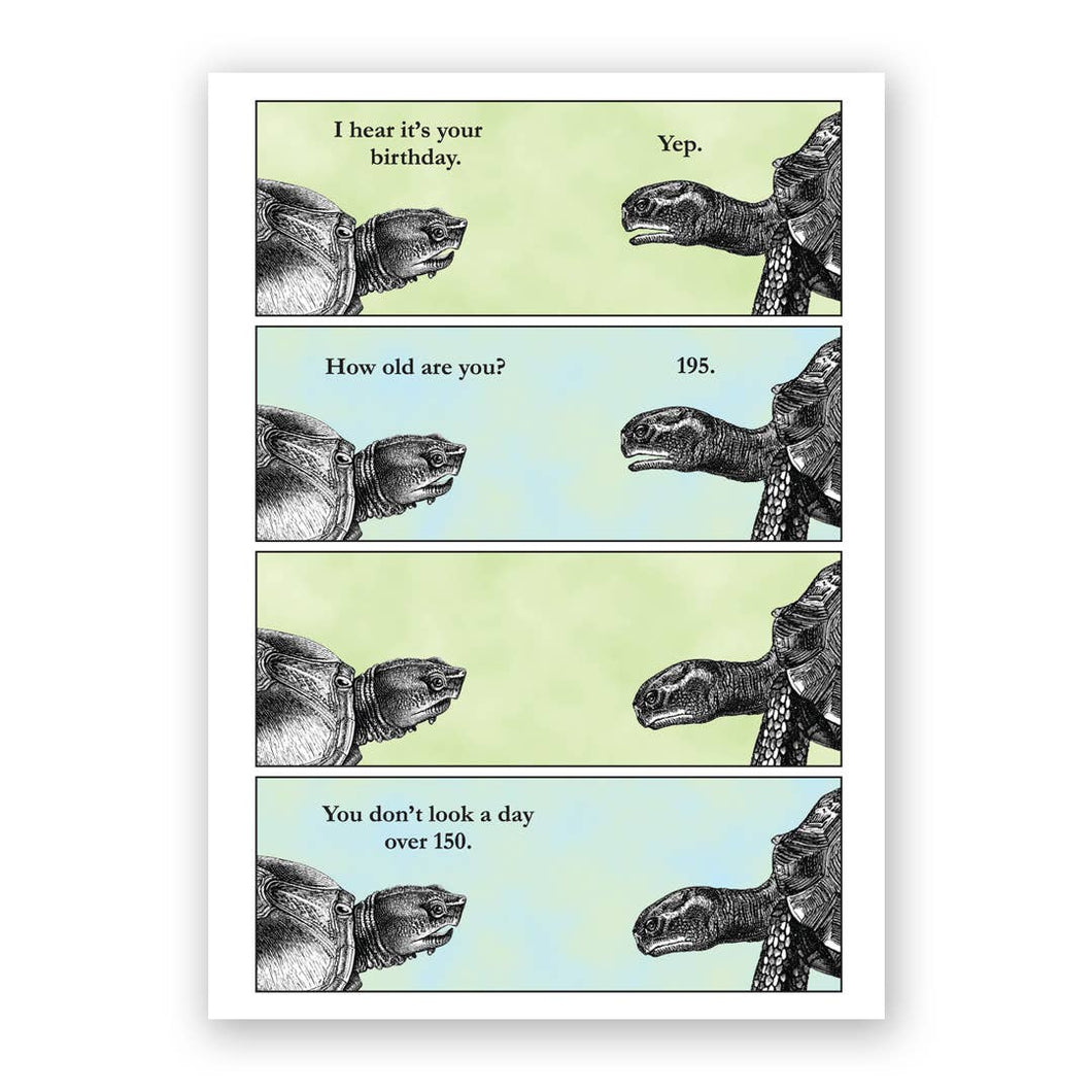Turtle Birthday Card